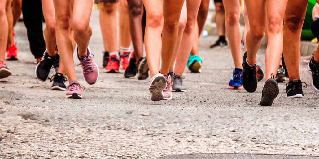 RESSOURCES WEB TOUT-COURT.ca